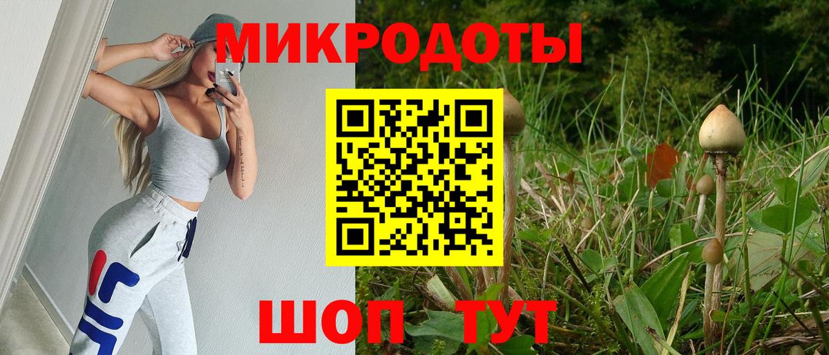 Псилоцибиновые грибы Psilocybine cubensis  как найти закладки  Будённовск  Вход с VPN 
